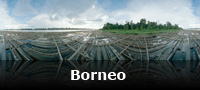 Borneo panorama